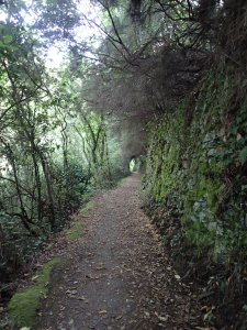 Huge, atypically flat and large part of the trail from Volastra to Corniglia